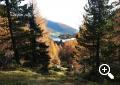 Panoramic view Val d'Ultimo - Ultental